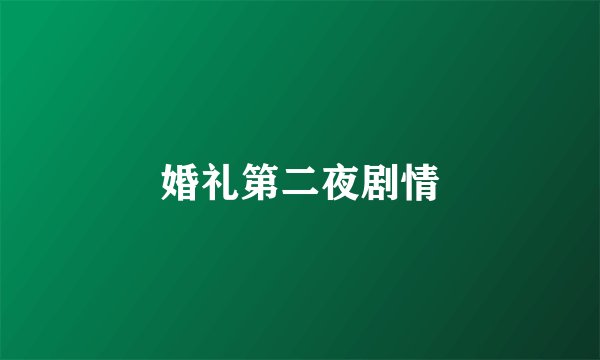 婚礼第二夜剧情