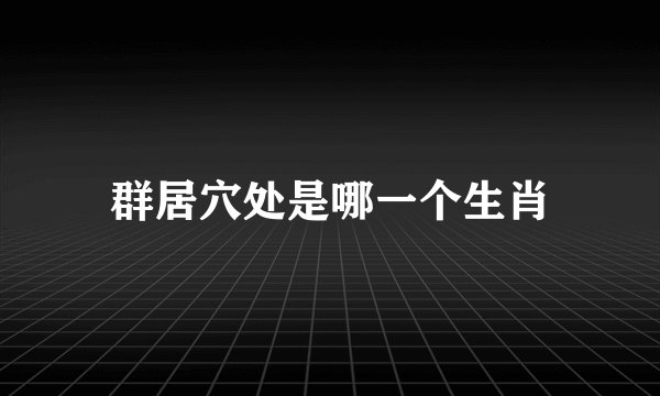 群居穴处是哪一个生肖