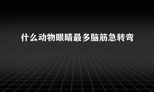 什么动物眼睛最多脑筋急转弯