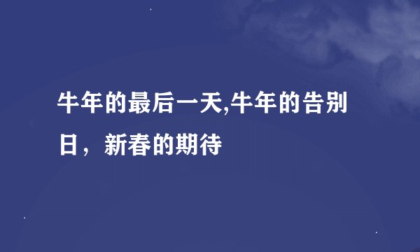 牛年的最后一天,牛年的告别日，新春的期待