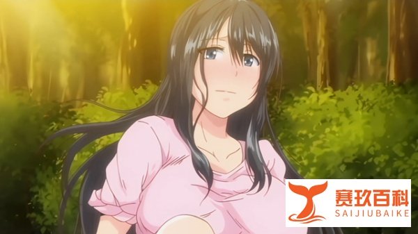 【番剧故事】飞机失事了却很幸运活了下来还和美少女们变得要好
