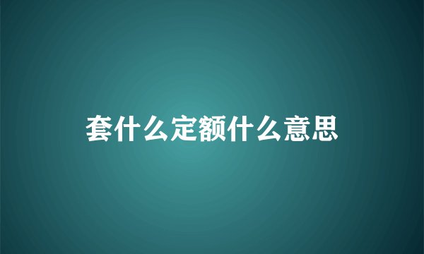 套什么定额什么意思