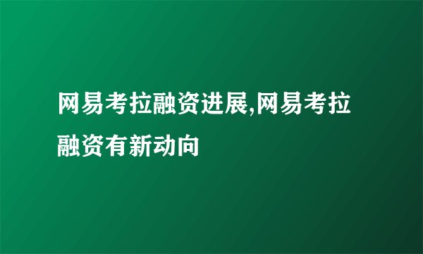 网易考拉融资进展,网易考拉融资有新动向