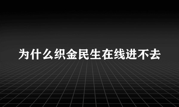 为什么织金民生在线进不去