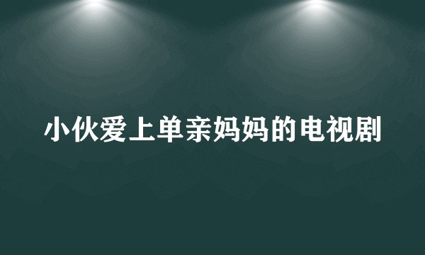 小伙爱上单亲妈妈的电视剧