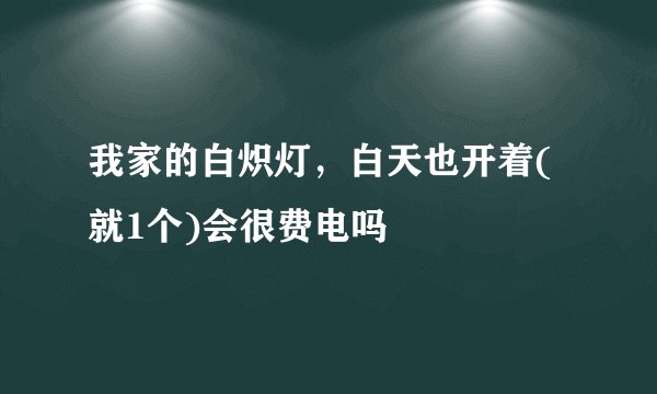 我家的白炽灯，白天也开着(就1个)会很费电吗