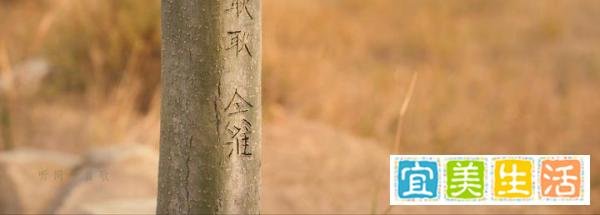《最好的我们》—原来一直耿耿于怀的是我们