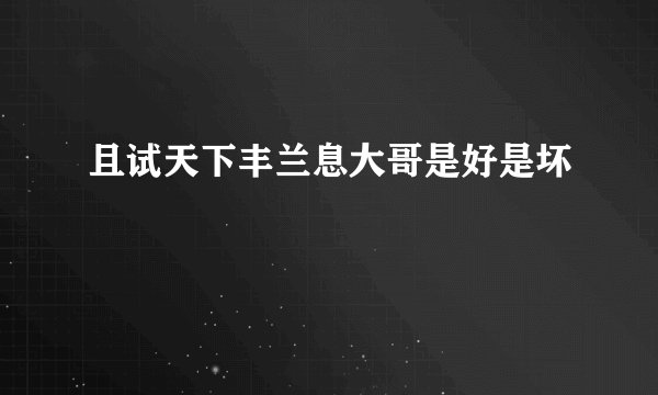 且试天下丰兰息大哥是好是坏