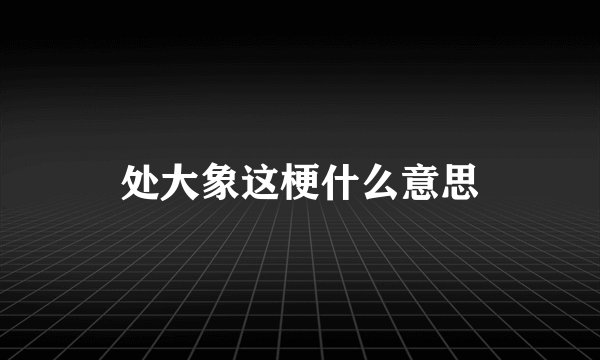 处大象这梗什么意思