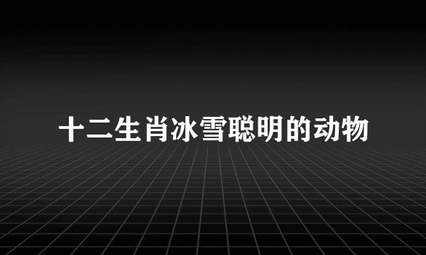 十二生肖冰雪聪明的动物