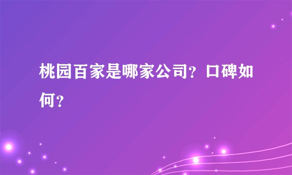 桃园百家是哪家公司？口碑如何？