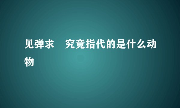 见弹求鸮究竟指代的是什么动物