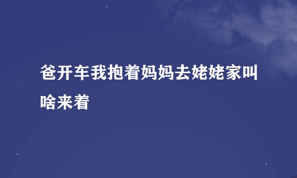 爸开车我抱着妈妈去姥姥家叫啥来着