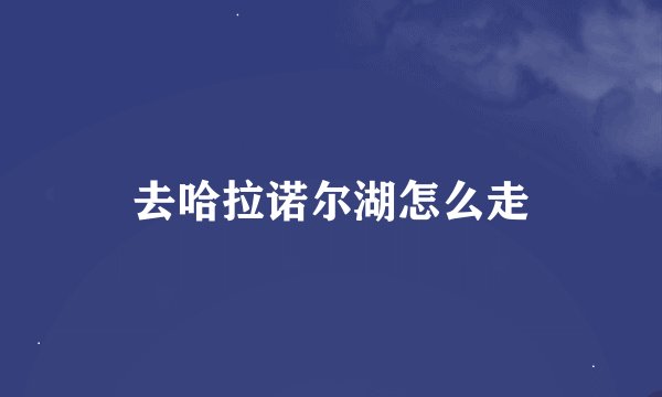 去哈拉诺尔湖怎么走