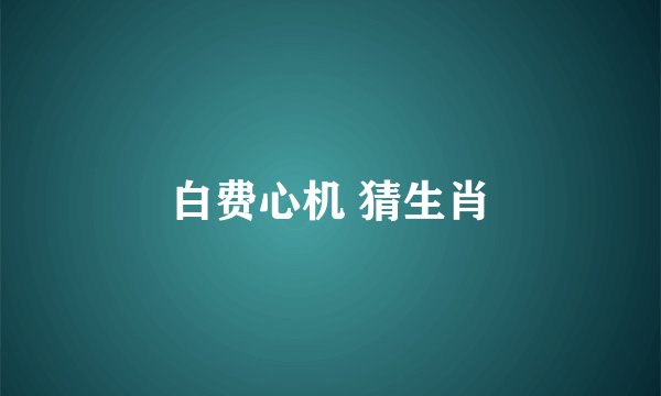 白费心机 猜生肖