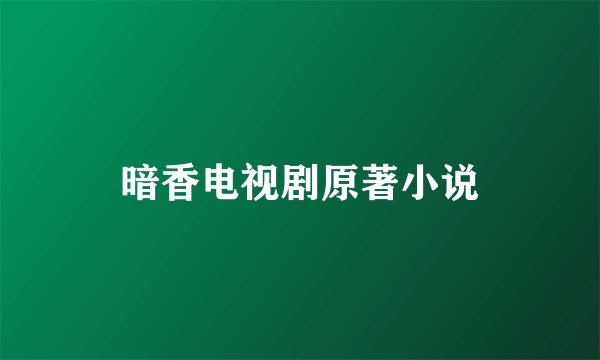 暗香电视剧原著小说