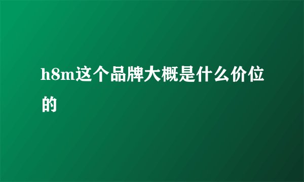 h8m这个品牌大概是什么价位的