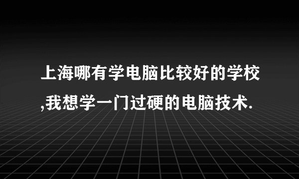 上海哪有学电脑比较好的学校,我想学一门过硬的电脑技术.