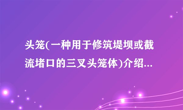 头笼(一种用于修筑堤坝或截流堵口的三叉头笼体)介绍_头笼(一种用于修筑堤坝或截流堵口的三叉头笼体)是什么