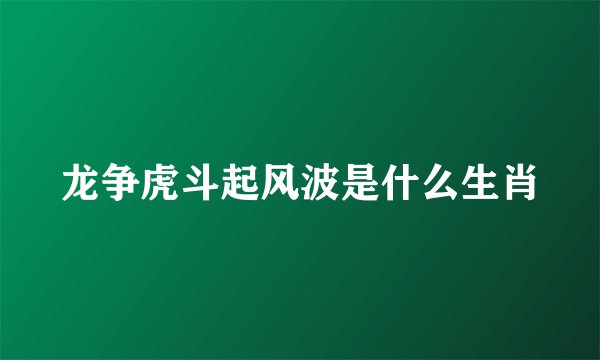龙争虎斗起风波是什么生肖