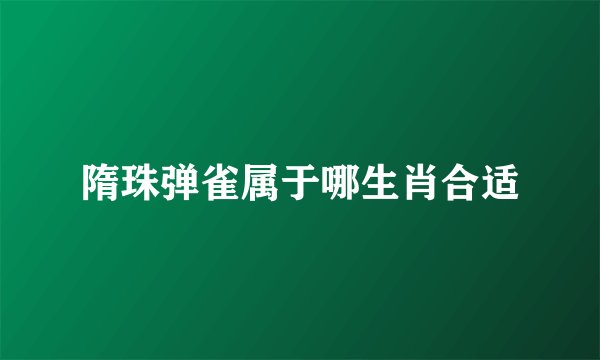 隋珠弹雀属于哪生肖合适