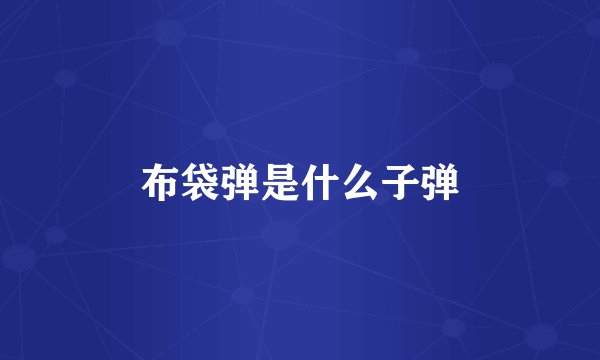 布袋弹是什么子弹