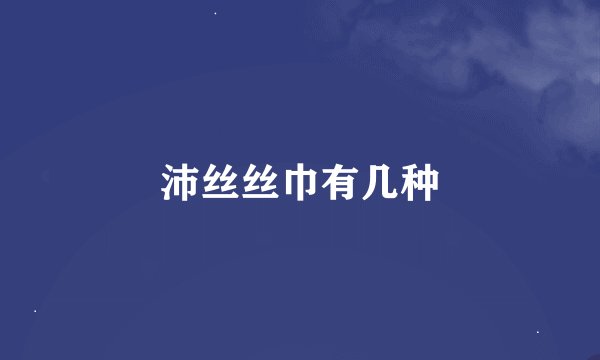 沛丝丝巾有几种