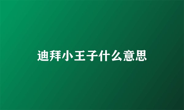 迪拜小王子什么意思