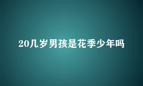 20几岁男孩是花季少年吗