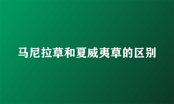 马尼拉草和夏威夷草的区别