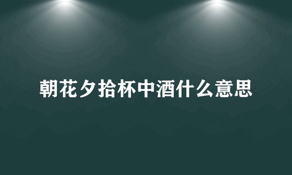 朝花夕拾杯中酒什么意思