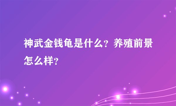 神武金钱龟是什么？养殖前景怎么样？