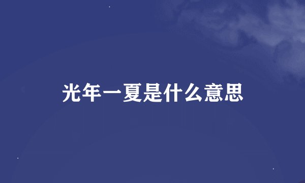 光年一夏是什么意思