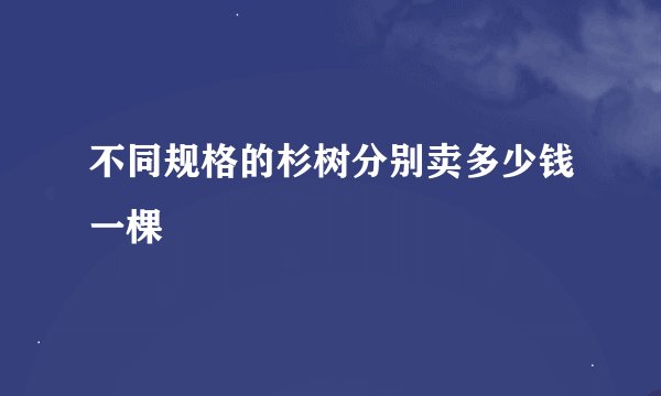 不同规格的杉树分别卖多少钱一棵