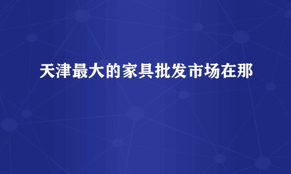 天津最大的家具批发市场在那