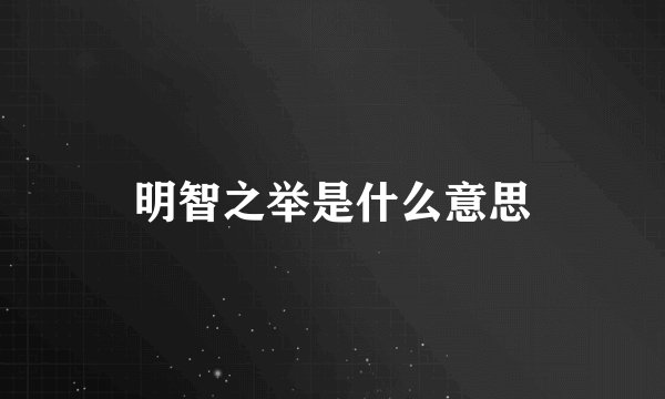 明智之举是什么意思