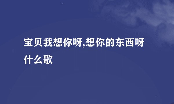 宝贝我想你呀,想你的东西呀什么歌