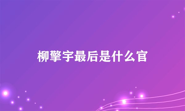 柳擎宇最后是什么官