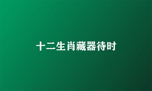 十二生肖藏器待时