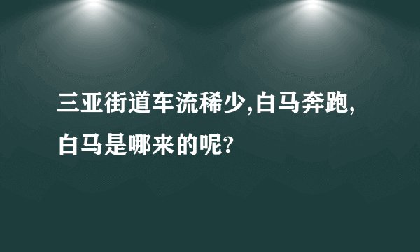 三亚街道车流稀少,白马奔跑,白马是哪来的呢?