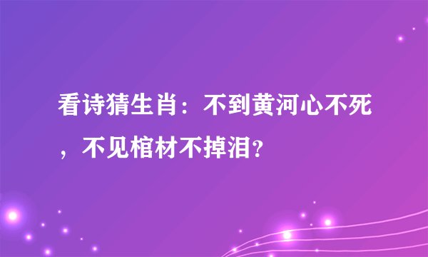 看诗猜生肖：不到黄河心不死，不见棺材不掉泪？