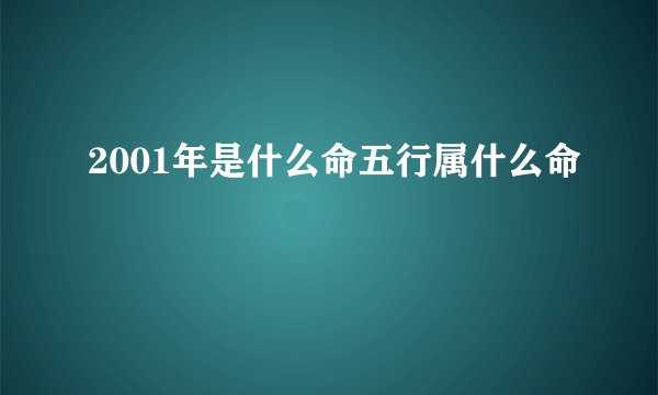 2001年是什么命五行属什么命