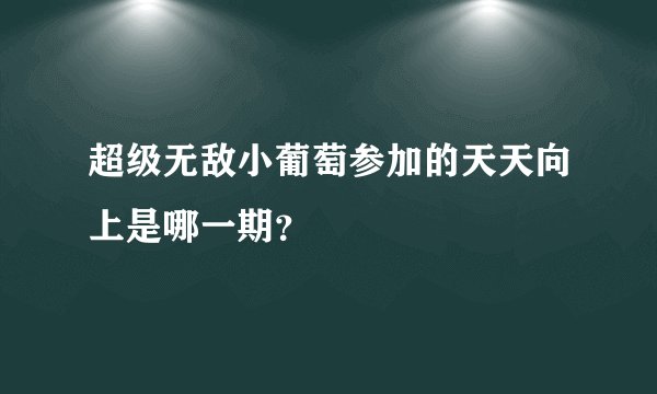 超级无敌小葡萄参加的天天向上是哪一期？