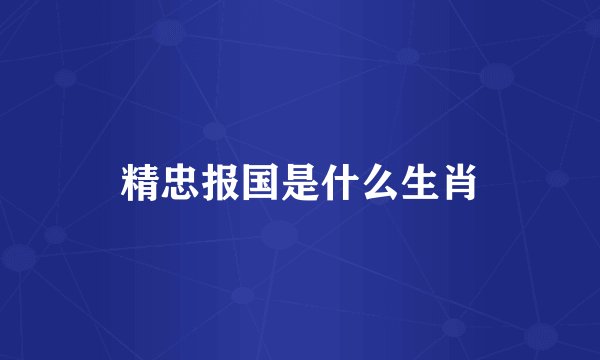 精忠报国是什么生肖