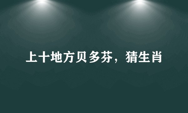 上十地方贝多芬，猜生肖