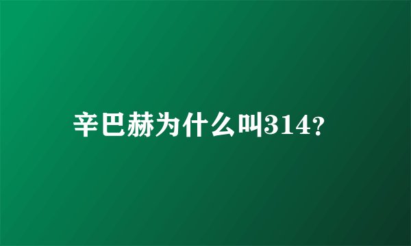 辛巴赫为什么叫314？