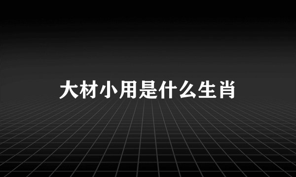 大材小用是什么生肖