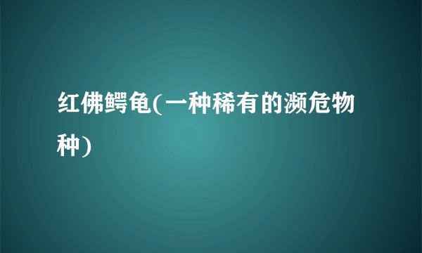 红佛鳄龟(一种稀有的濒危物种)