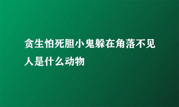 贪生怕死胆小鬼躲在角落不见人是什么动物