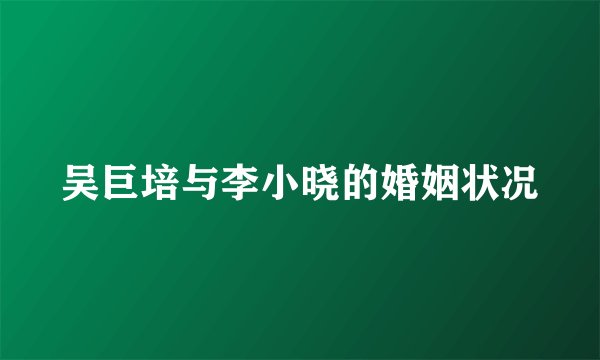 吴巨培与李小晓的婚姻状况